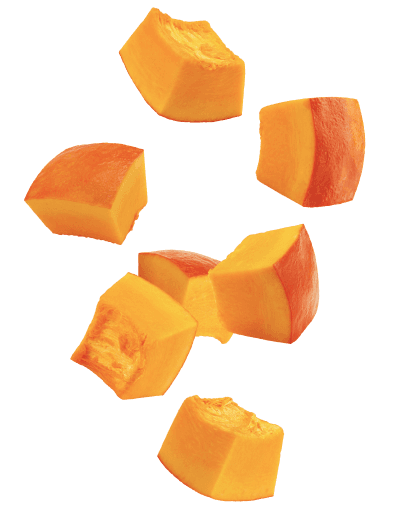 Pumpkin Image